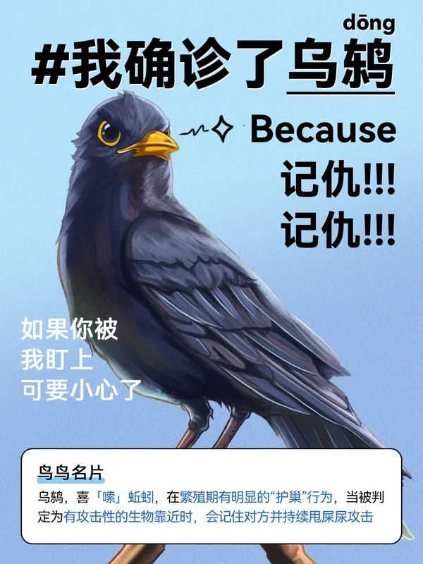 任鸟飞插画 10