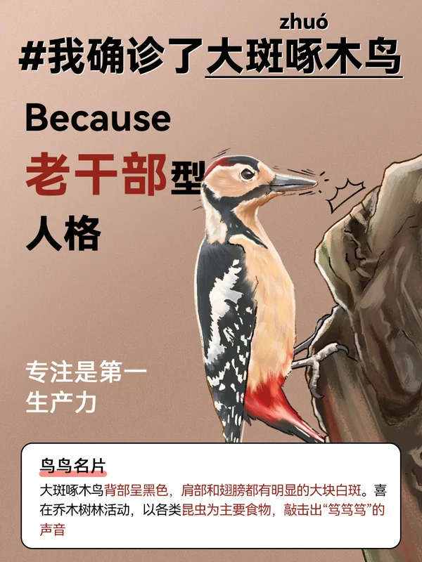 任鸟飞插画 04