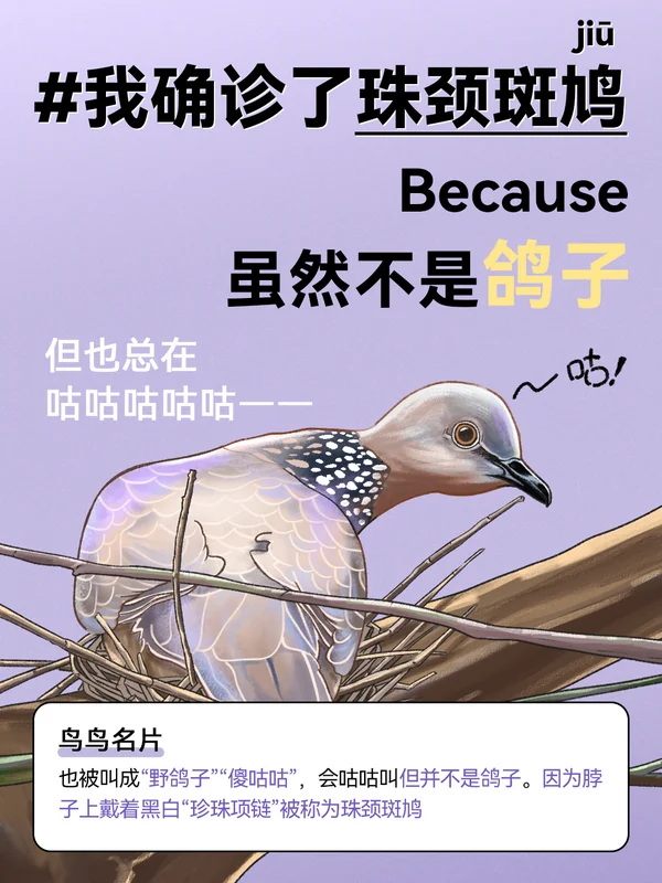 任鸟飞插画 09